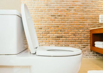 Sal gruesa en el inodoro: el método desconocido que hay que usar para eliminar todas las bacterias del baño