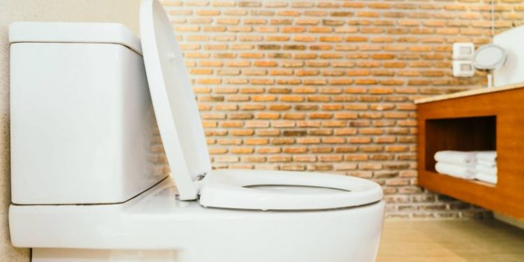 Sal gruesa en el inodoro: el método desconocido que hay que usar para eliminar todas las bacterias del baño