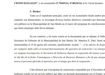 San Martín: tras la revelación de Mendoza Today, suspendieron la esterilización de animales (y avanza una nueva denuncia)
