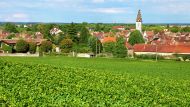 La historia de la antigua localidad de Entre R&iacute;os que fue fundada por inmigrantes alemanes: queda a 5 horas de CABA y es ideal para visitar en primavera