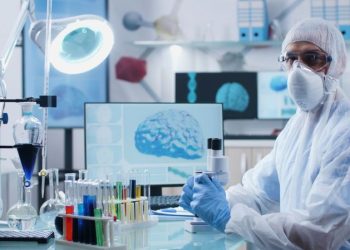 Una investigación de científicos argentinos descubrió cuál es la parte clave del cerebro que puede controlar el estrés