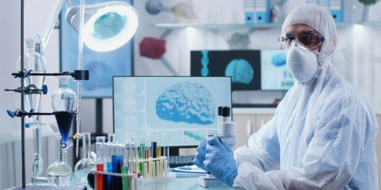 Una investigación de científicos argentinos descubrió cuál es la parte clave del cerebro que puede controlar el estrés