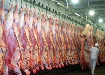 Auditoría de Corea para apertura de mercado a carne paraguaya están en marcha