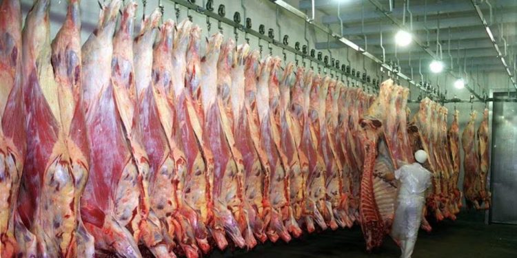 Auditoría de Corea para apertura de mercado a carne paraguaya están en marcha