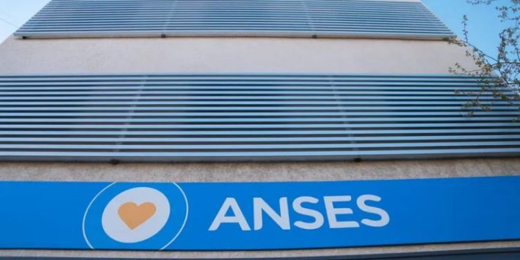 ANSES publicó la nueva mínima para jubilados y pensionados de noviembre 2024