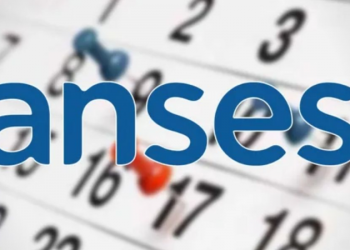 Calendario de pagos ANSES: ¿quiénes cobran hoy 16 de octubre 2024?
