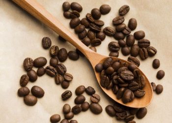 Chau dengue: así se puede usar el café como repelente natural para alejar los mosquitos de tu casa