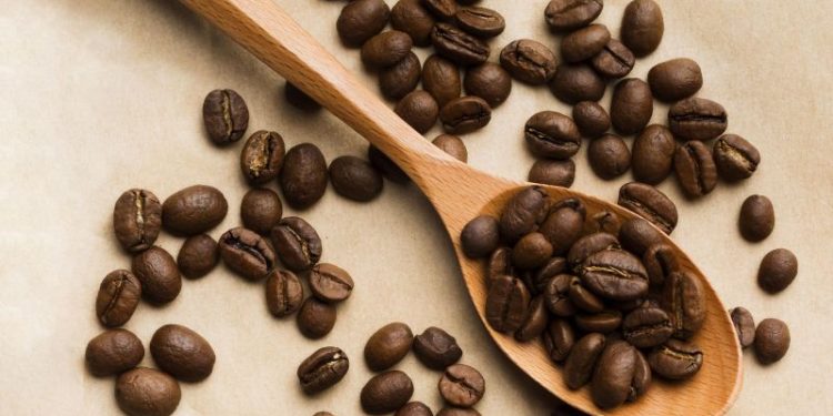 Chau dengue: así se puede usar el café como repelente natural para alejar los mosquitos de tu casa