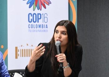 COP16: sin funcionarios nacionales, la ministra de Ambiente bonaerense fue la más alta autoridad del país presente en la cumbre