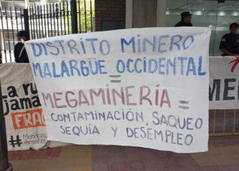 Día antimero en la Legislatura de Mendoza: “Un boludo se sentó y sacó la bandera de Palestina”