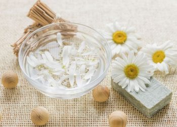 Extracto de manzanilla: cuáles son los beneficios para la salud si usás la hierba medicinal en esta preparación