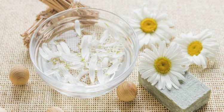 Extracto de manzanilla: cuáles son los beneficios para la salud si usás la hierba medicinal en esta preparación