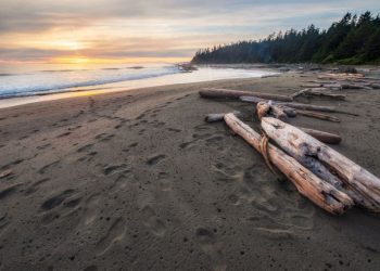 La localidad de la Costa Atlántica que mezcla playas tranquilas con un bosque de pinos y calles de tierra