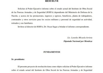 Lourdes Arrieta pide explicaciones al mendocino Oscar Sagas por el supuesto mal funcionamiento de IOSFA