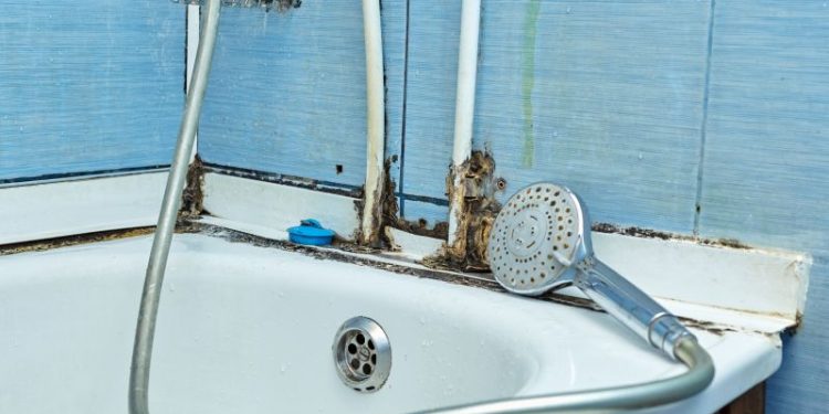 Más efectivo que el vinagre: la mezcla casera que elimina el sarro de las canillas al instante