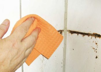 Mejor que la lavandina: la “piedra blanca” que elimina los hongos de los azulejos del baño al instante