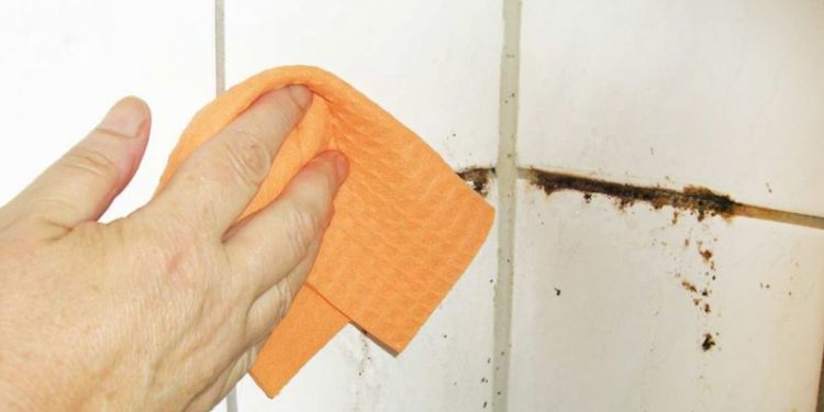 Mejor que la lavandina: la “piedra blanca” que elimina los hongos de los azulejos del baño al instante