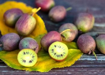 Oro verde: el alimento lleno de colágeno que ayuda a bajar de peso y está repleto de potasio