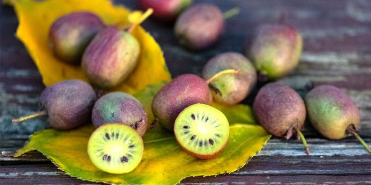 Oro verde: el alimento lleno de colágeno que ayuda a bajar de peso y está repleto de potasio