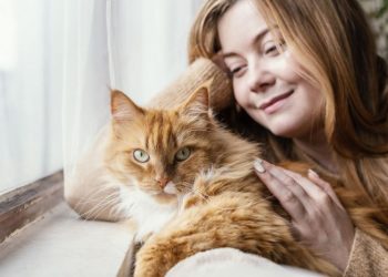 ¿Qué gesto tenés que hacer para mejorar la conexión con tu gato, según la ciencia?