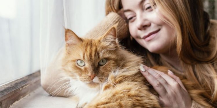 ¿Qué gesto tenés que hacer para mejorar la conexión con tu gato, según la ciencia?