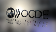 Ingreso a la OCDE: los sectores que más ganan y cómo se beneficia Argentina