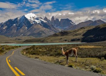 Vacaciones y shopping: cuáles son los cruces fronterizos con Chile en la Patagonia Argentina