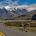 Vacaciones y shopping: cuáles son los cruces fronterizos con Chile en la Patagonia Argentina