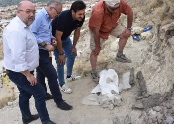 El cocodrilo más antiguo de Europa vivió hace 4,5 millones de años en Baza, al norte de Granada