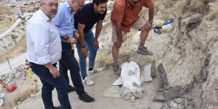 El cocodrilo más antiguo de Europa vivió hace 4,5 millones de años en Baza, al norte de Granada