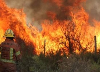 Condenaron a tres años de cárcel efectiva a un hombre que causo un incendio forestal en Córdoba