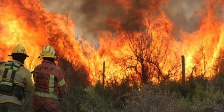 Condenaron a tres años de cárcel efectiva a un hombre que causo un incendio forestal en Córdoba