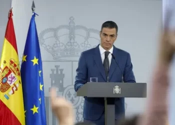 Catedráticos en Derecho Constitucional: «El Gobierno central debió tomar el mando desde el principio de la tragedia»