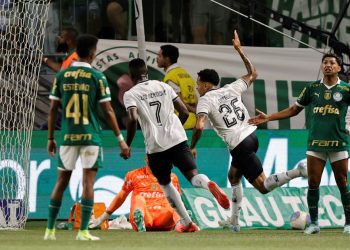 Botafogo ganó el partido clave antes de la final de la Libertadores