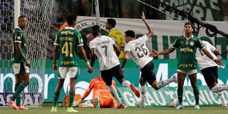 Botafogo ganó el partido clave antes de la final de la Libertadores