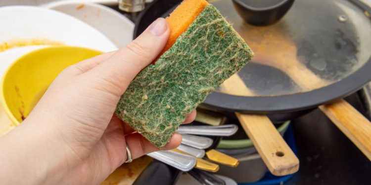 Cada cuánto hay que cambiar la esponja de la cocina