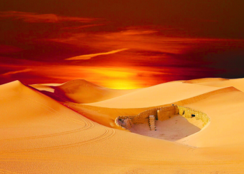 Descubrimiento arqueológico: hallan un oasis que permaneció oculto en el desierto por 4000 años