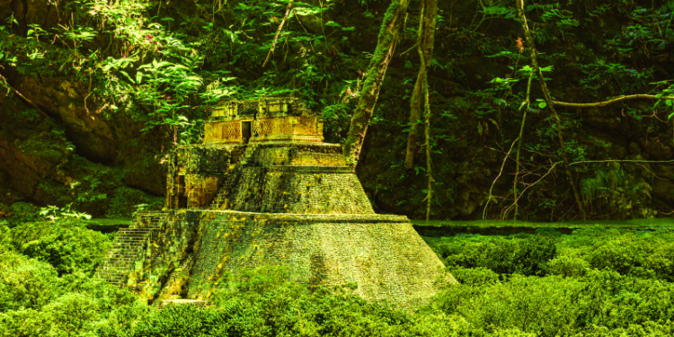 Descubrimiento de 1200 años: hallan una ciudad maya perdida en la selva mexicana