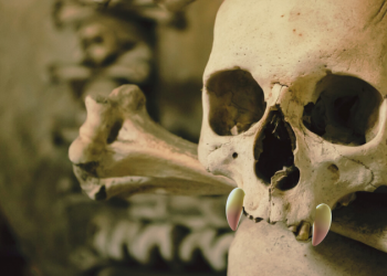 Descubrimiento histórico: arqueólogos revelan la verdadera cara de un vampiro que permaneció oculta por 200 años