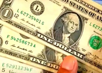 Dólar blue hoy: a cuánto cotiza este martes 19 de noviembre con el MEP y CCL