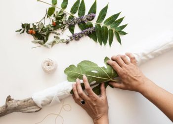 El poderoso ritual de la planta medicinal que atrae la abundancia a tu vida: cómo hacerlo, paso a paso