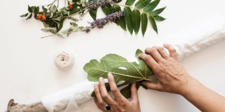 El poderoso ritual de la planta medicinal que atrae la abundancia a tu vida: cómo hacerlo, paso a paso