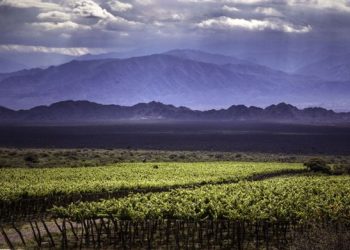 No queda en Mendoza: la bodega argentina que fue premiada y quedó entre los 50 mejores viñedos del mundo