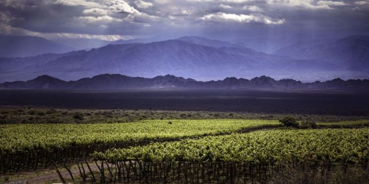 No queda en Mendoza: la bodega argentina que fue premiada y quedó entre los 50 mejores viñedos del mundo