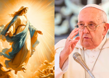 Revuelo en el Vaticano: el papa Francisco y su definición sobre la Virgen María