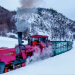 Tren del Fin del Mundo: cuánto cuesta viajar en el histórico tranvía de Ushuaia