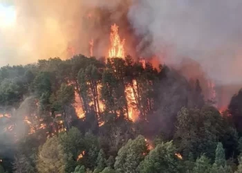 Incendio en el Parque Nacional Nahuel Huapi: 1.800 hectáreas afectadas y varios focos activos