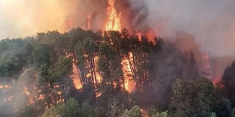 Incendio en el Parque Nacional Nahuel Huapi: 1.800 hectáreas afectadas y varios focos activos
