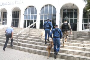Amenaza de bomba obliga a evacuar el Palacio de Justicia – TotalNews Agency