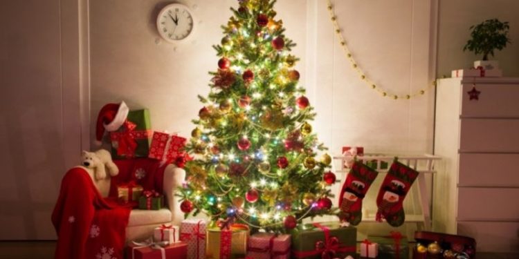 Árbol de Navidad: por qué se arma el 8 de diciembre y cuál es su significado